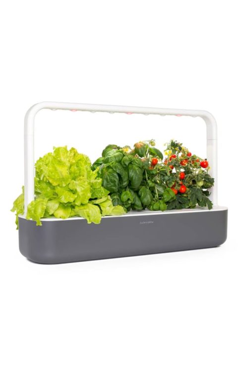 Smart interior counter garden